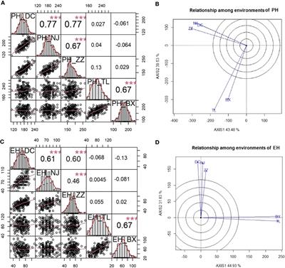 Identification of QTNs, QTN-by-environment interactions for plant height and ear height in maize multi-environment GWAS